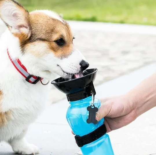 Bebedero Termo Portátil Agua Para Perros